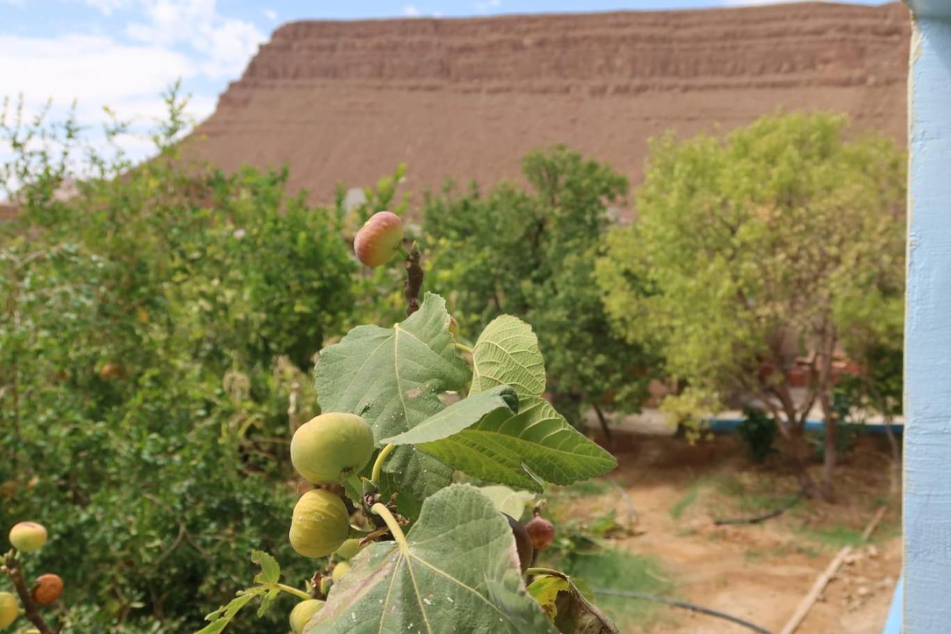 Gite D'Etape Ziz Oasis Achbarou Exterior foto